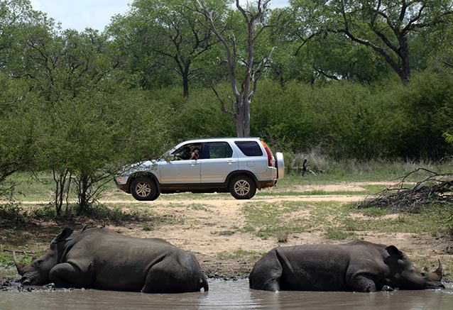 KrugerNP-Kenia-Samburu.jpg