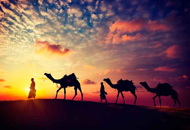 Viaje-Dubai-Fin-de-Ano-Camellos-Desierto-Viajes-Bidtravel.jpg