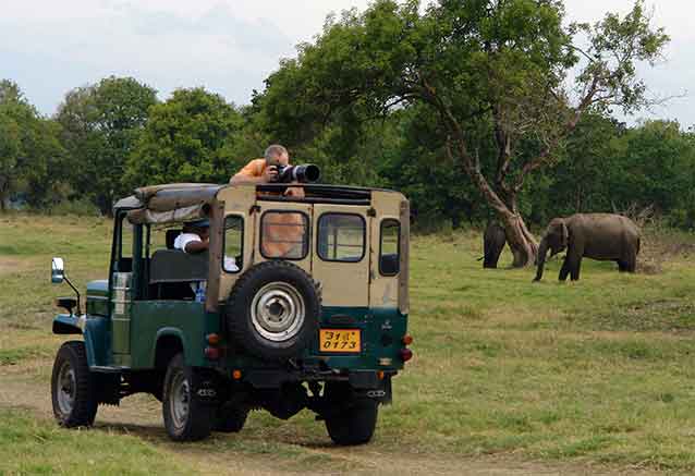 safari-fotos-srilanka-bidtravel-oferta.jpg