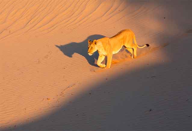 LEONA-EN-NAMIBIA-BY-BIDTRAVEL.jpg