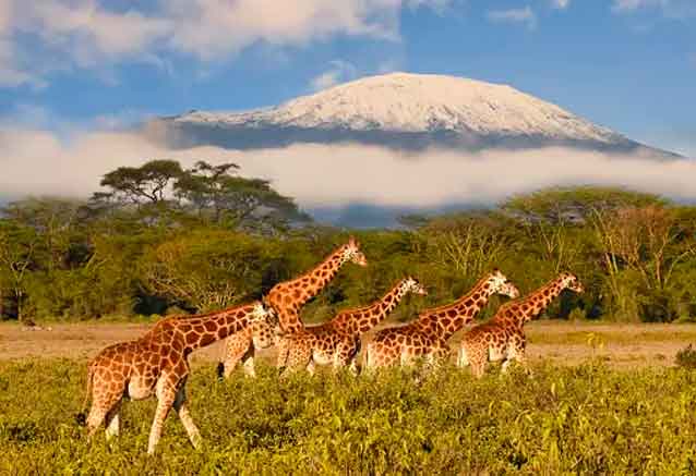 Foto del Viaje Kilimanjaro-one.jpg