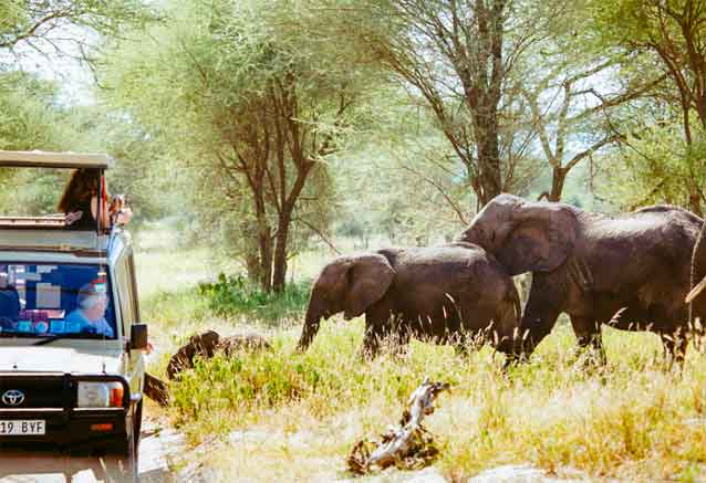 kenia-elefantes-safari.jpg
