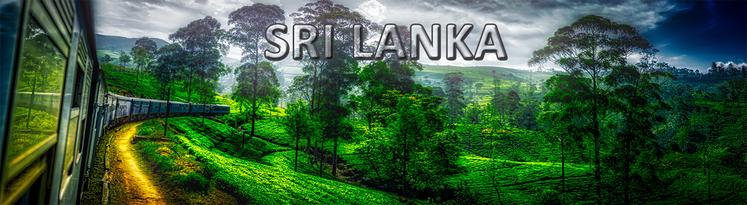 Viajes organizados a Sri Lanka - Bidtravel. Circuitos y tours económicos. Siempre al mejor precio